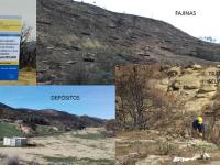 Obras de restauración del gran incendio forestal de julio de 2015 en la comarca de las Cinco Villas (Zaragoza)