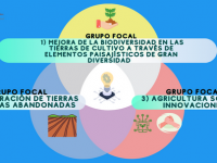 EIP-AGRI Grupos Focales