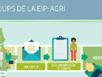Grupos focales o de estudio EIP-AGRI